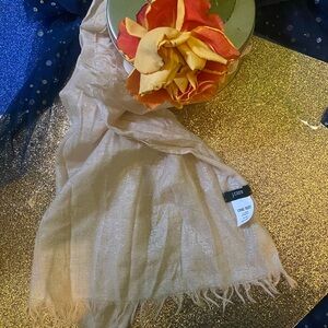 J.CREW 91% WOOL CREAM SLVR ULTRA SHEEN WINTER FALL Scarf GORG COZY RARE